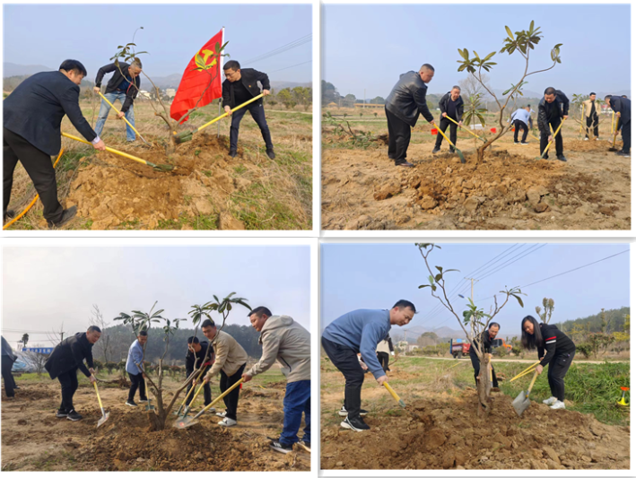 1710816867.png eee1fdb9664dfa370bfb32bf9a703fb.png