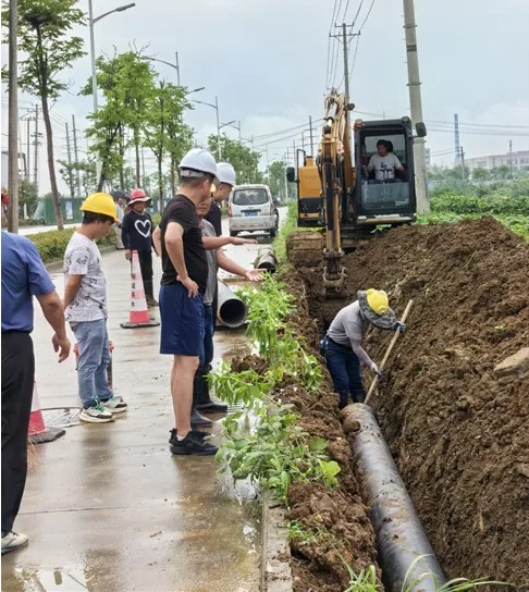 1723791167.jpg 1723791095996.jpg