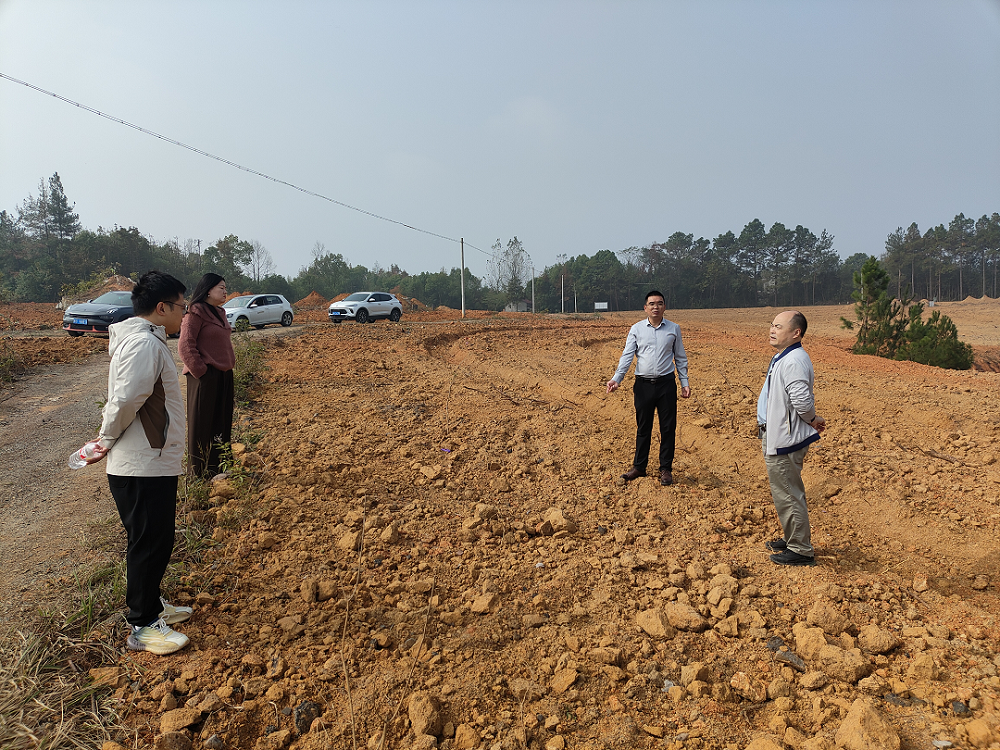 1731035983.png 图片1.png