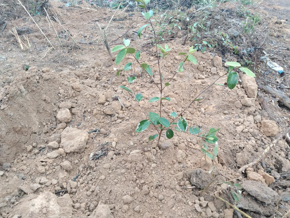 1731036067.png 图片2.png