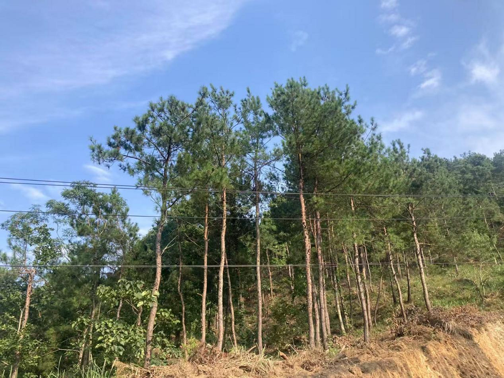 1731036119.png 图片3.png