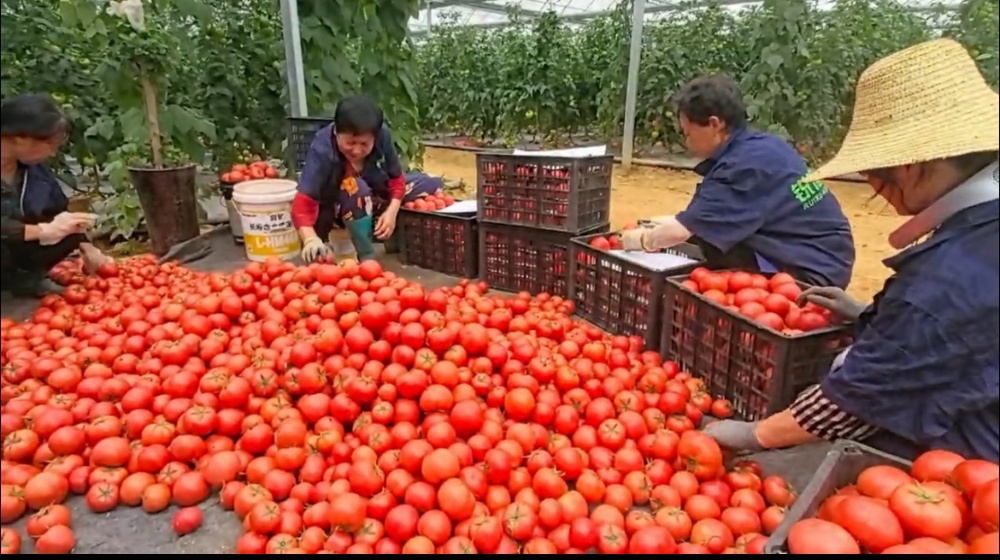 1750841483.jpg bd5a12cb2a0a1277fa1dbfcb6a4afb74.jpg